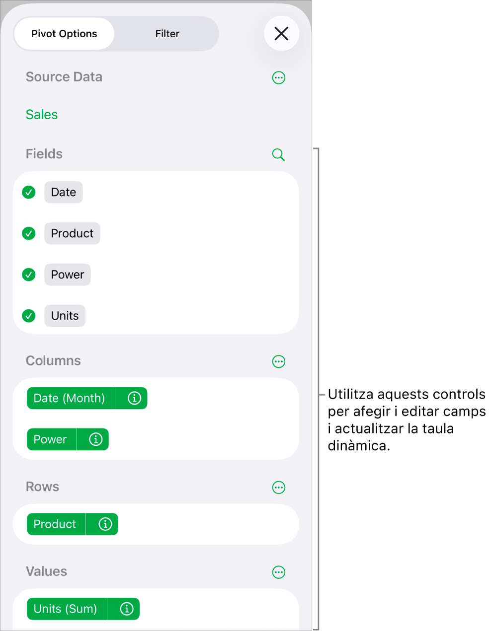 El menú “Opcions de taula dinàmica” que mostra els camps a les seccions Columnes, Files i Valors, a més dels controls per editar els camps.