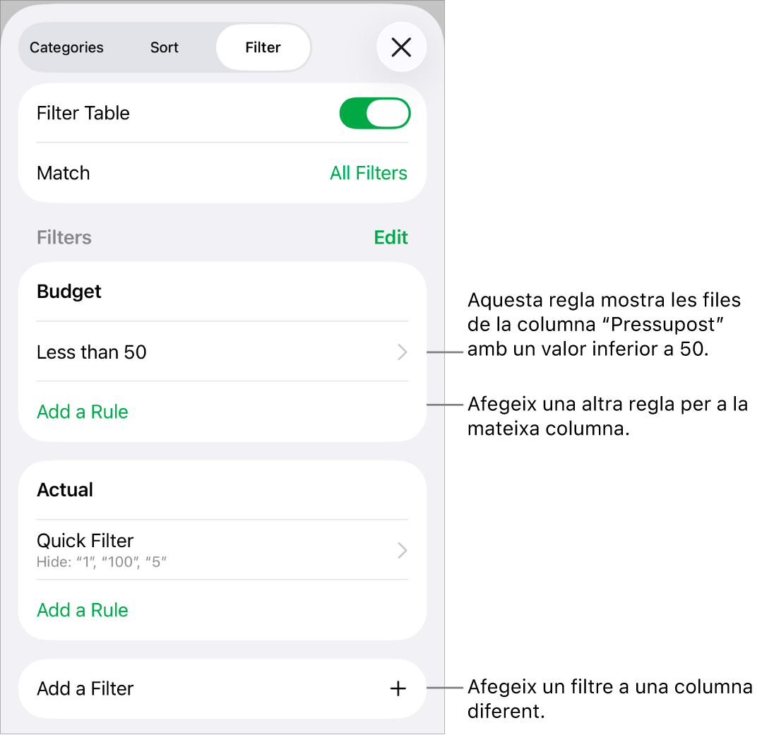 Controls per afegir noves regles de filtre o editar les regles existents.