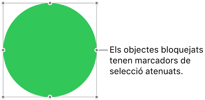 Un objecte bloquejat, amb els marcadors de selecció atenuats.