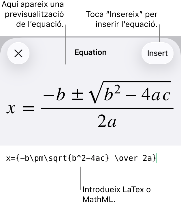 El quadre de diàleg Equació amb una equació escrita amb les ordres MathML i una previsualització de la fórmula al damunt.