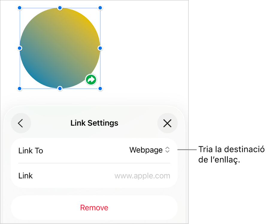 Controls “Paràmetres d’enllaç” amb l’opció “Pàgina web” seleccionada i el botó “Elimina” situat a la part inferior.