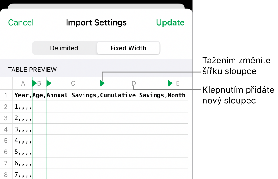 Nastavení importu pro text s pevnou šířkou.