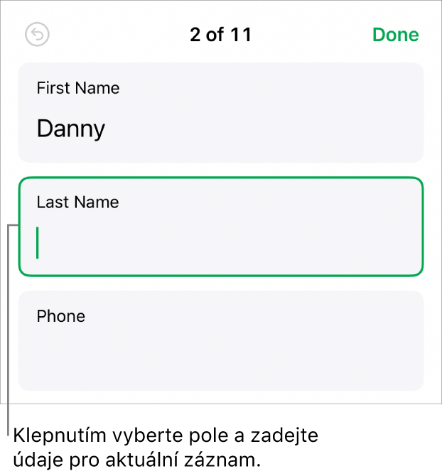 Záznam ve formuláři se zobrazeným aktivním polem, v němž se nachází kurzor