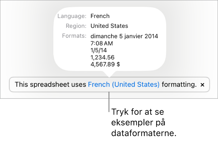 Notifikationen om de forskellige indstillinger af sprog og område, der viser eksempler på den formatering, som hører til sproget og området.