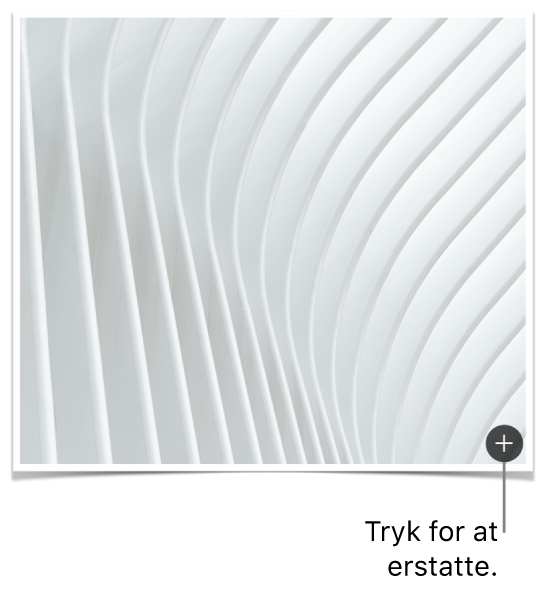 Et billede med knappen Erstat billede.