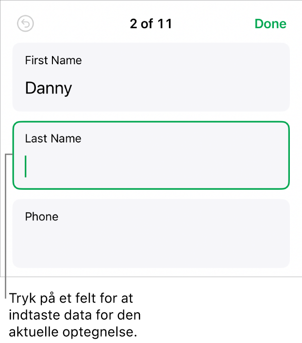 En optegnelse i en formular, der viser et aktivt felt med et indsætningsmærke.