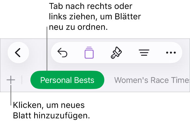 Tableiste zum Hinzufügen eines neuen Blatts und zum Navigieren, Neuanordnen und Neusortieren von Blättern.