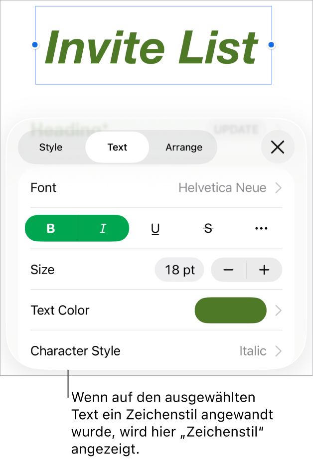 Die Steuerelemente für die Textformatierung mit „Zeichenstil“ unter den Farbsteuerungen Der Zeichenstil „Ohne“ mit einem Stern