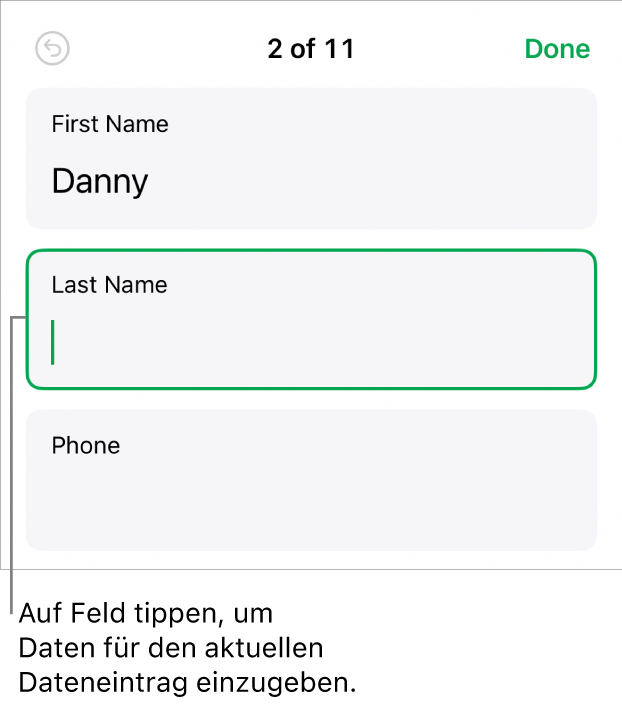 Ein Datensatz in einem Formular mit einem aktiven Feld und einer Einfügemarke.