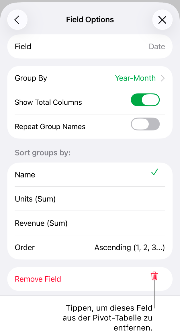 Das Menü „Feldoptionen“ mit Steuerelementen zum Gruppieren und Sortieren von Daten sowie einer Option zum Entfernen eines Feldes.