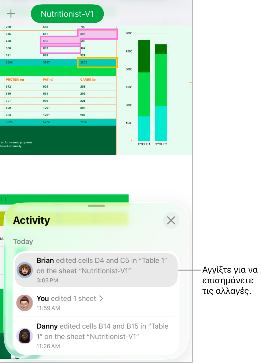 Ένα συνεργατικό υπολογιστικό φύλλο με ανοιχτό το μενού συνεργασίας και τη λίστα δραστηριοτήτων.