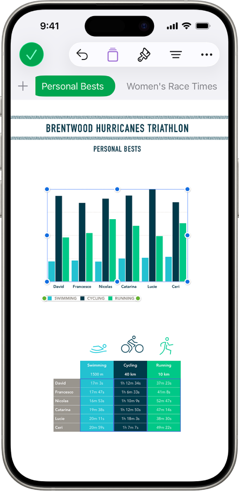 A spreadsheet tracking hiking information, showing sheet names near the top of the screen. The Add Sheet button is on the left, followed by sheet tabs for Elevation and Track Segments.