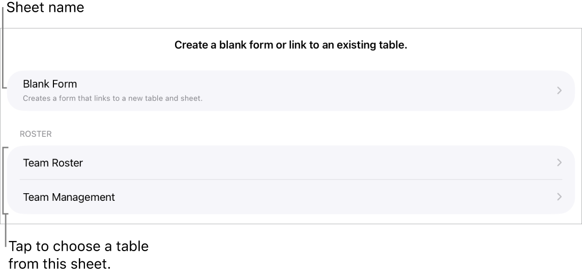 A list of tables that are in the same spreadsheet, with the option to create a blank form at the top.