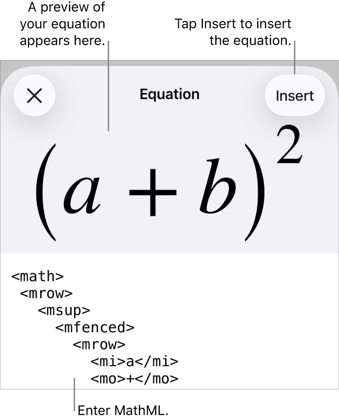 The Equation dialogue, showing an equation written using MathML commands and a preview of the formula above.