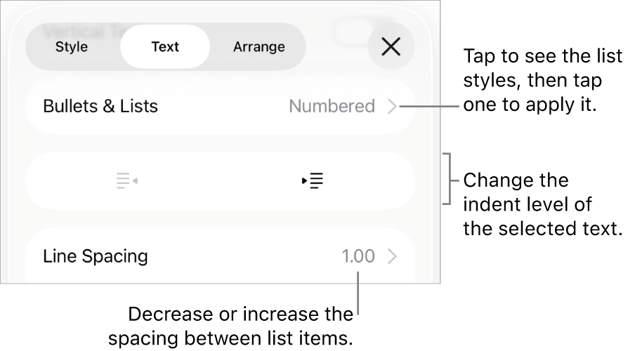 The Bullets & Lists section of the Format controls with callouts to Bullets & Lists, outdent and indent buttons, and line spacing controls.