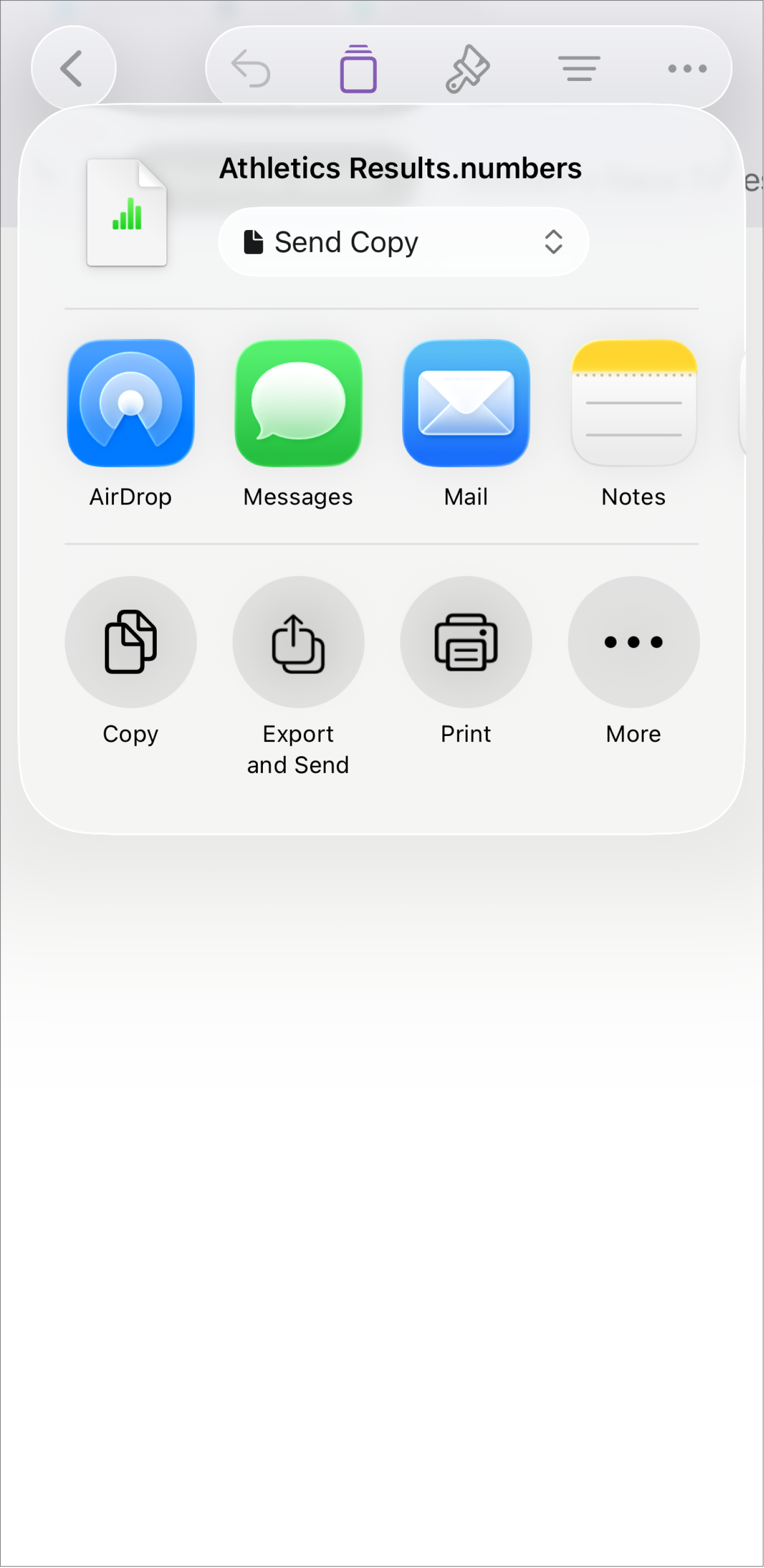 The Numbers window showing the Share menu, with options to send a copy of the spreadsheet, export and send in a different format, or print or save the spreadsheet to the Files app.