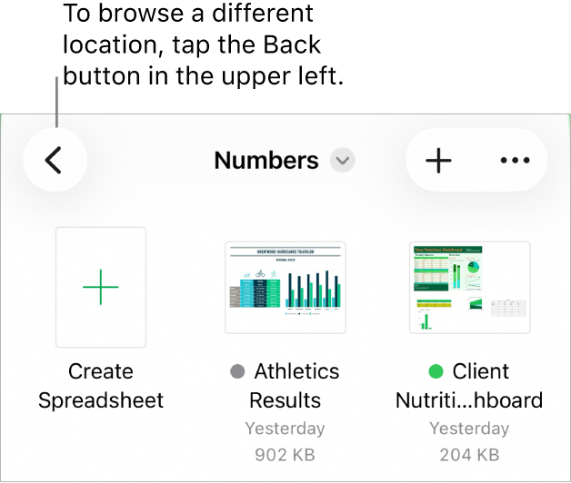 The browse view of the document manager with the Back button in the top-left corner and below it a Search field. Below the Search field is a Create Spreadsheet button next to thumbnails of existing spreadsheets. In the top-right corner are the Add button and the More button.
