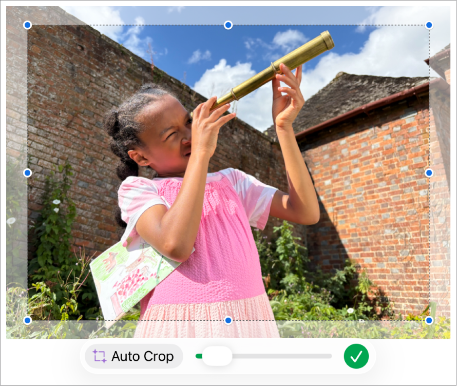 Picture showing how to use a mask to crop a photo.