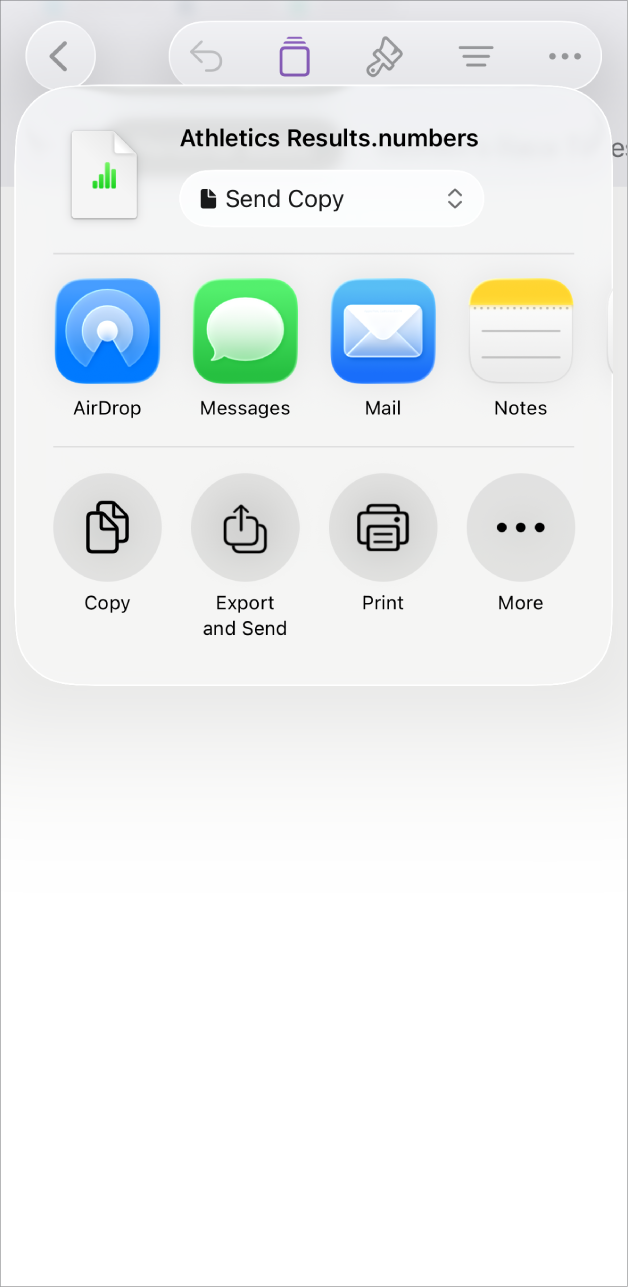 The Numbers window showing the Share menu, with options to send a copy of the spreadsheet, export and send in a different format, or print or save the spreadsheet to the Files app.