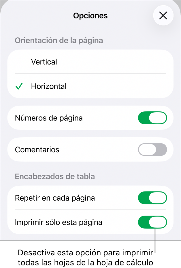 Opciones de impresión para seleccionar la orientación de la página, mostrar el número de páginas y los encabezados, así como para seleccionar el tamaño del papel y especificar las páginas a imprimir.