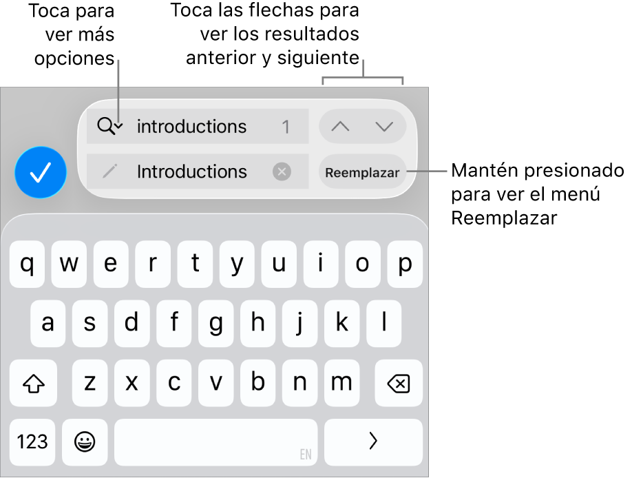 Los controles Buscar y Reemplazar arriba del teclado con mensajes en los botones Opciones de Búsqueda, Reemplazar, Subir y Bajar.
