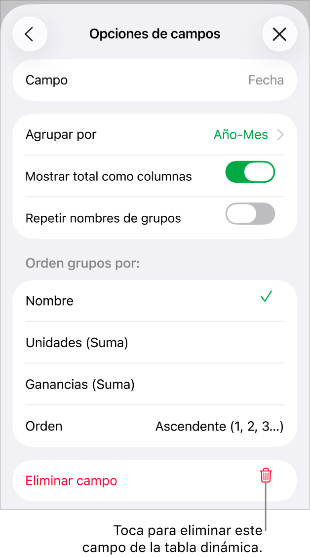 El menú Opciones de campos, mostrando los controles para agrupar y clasificar los datos, así como la opción para eliminar un campo.