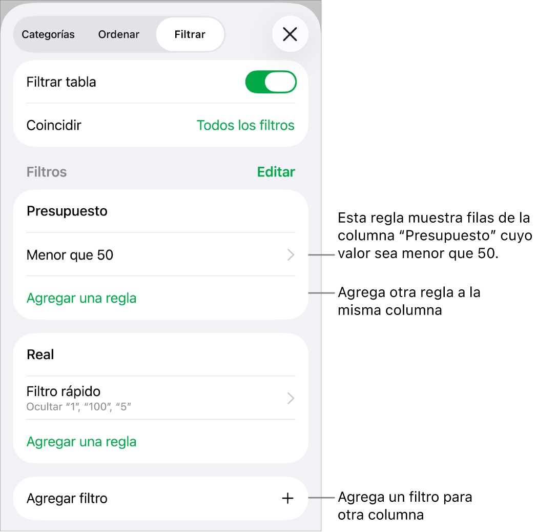Controles para agregar nuevas reglas de filtrado o para editar las existentes.