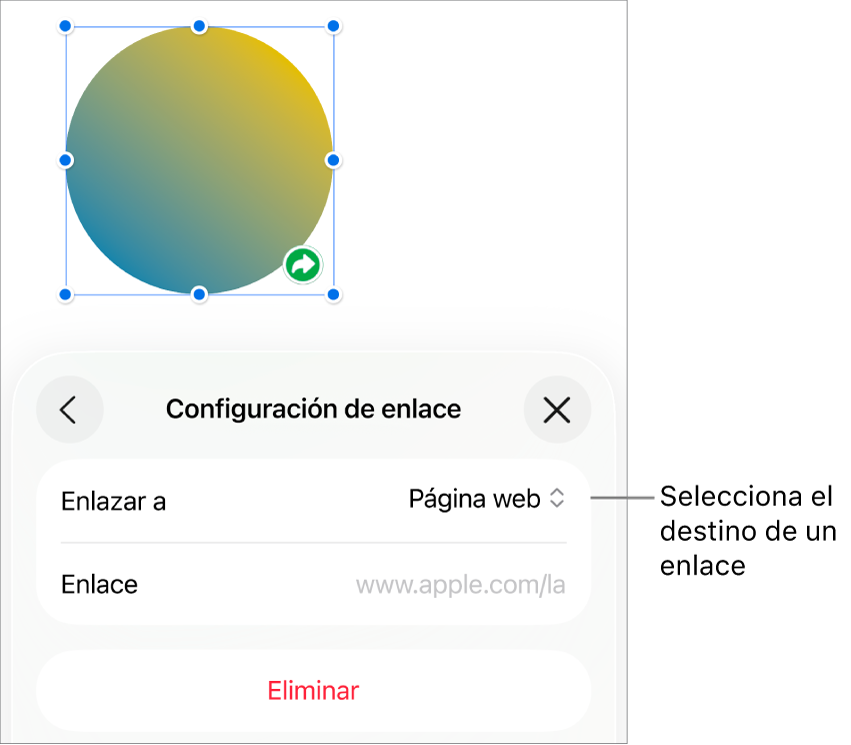 Los controles de Configuración de enlace con la opción Página web seleccionada, y el botón Eliminar en la parte de abajo.