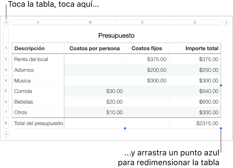 Una tabla seleccionada con puntos azules para redimensionarla.