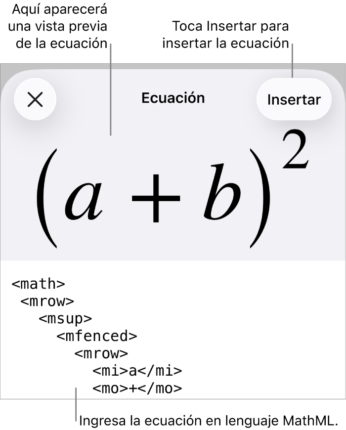 El cuadro de diálogo Ecuación con una ecuación escrita con comandos de MathML y una vista previa de la fórmula encima.