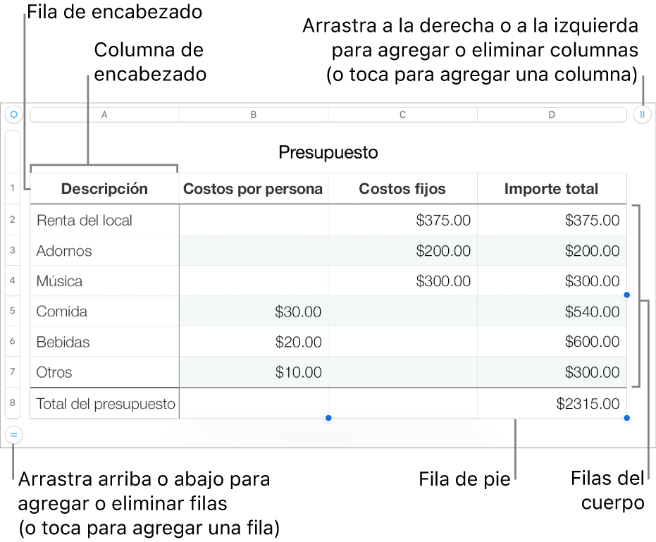 Tabla con filas y columnas de encabezado, cuerpo y pie de página, así como manijas para agregar o eliminar filas o columnas.