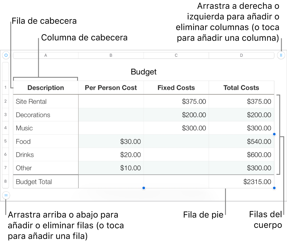 Tabla con filas y columnas de cabecera, cuerpo y pie de página, así como tiradores para añadir o eliminar filas o columnas.