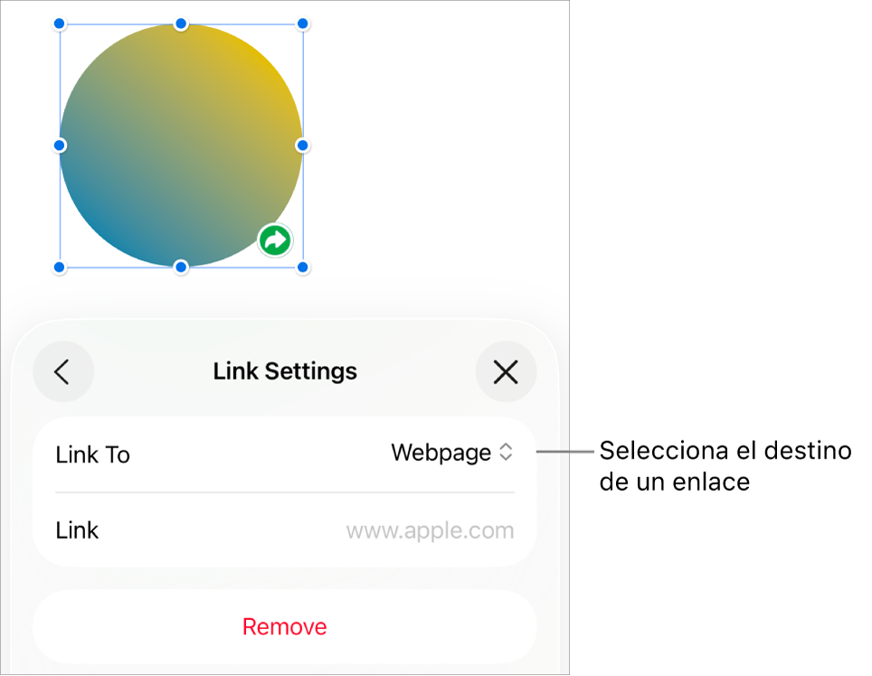 Controles de “Ajustes de enlace” con la opción “Página web” seleccionada y el botón Eliminar en la parte inferior.