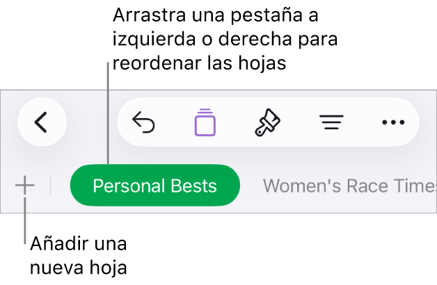 La barra de pestañas para añadir una nueva hoja, navegar, reordenar y reorganizar las hojas.