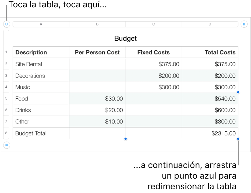Una tabla seleccionada con puntos azules para redimensionarla.