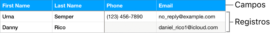 Tabla correctamente configurada para usarla con formularios, con una fila de cabecera donde figuran las etiquetas de los campos y una lista de registro con datos de contacto de los integrantes de un equipo deportivo.