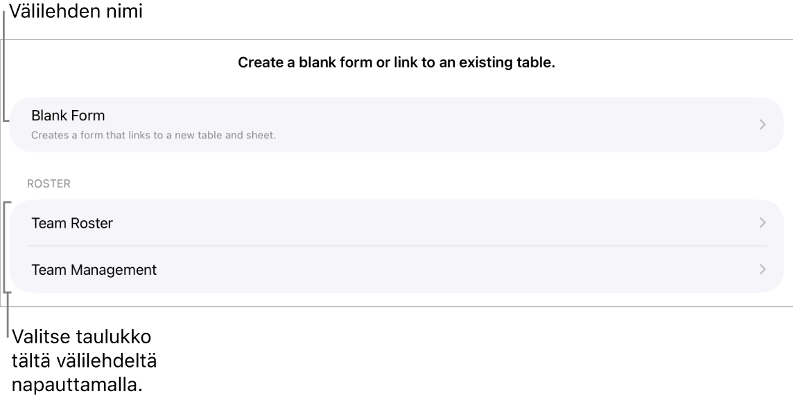 Samassa laskentataulukossa olevien taulukoiden luettelo ja ylhäällä valinta, jolla voi luoda tyhjän lomakkeen.