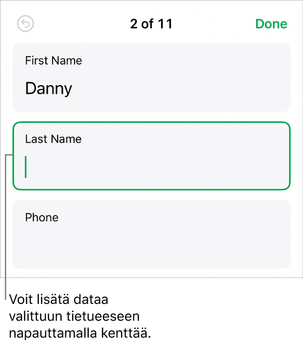 Lomakkeen tietue, jossa näkyy aktiivinen kenttä ja lisäyskohta.