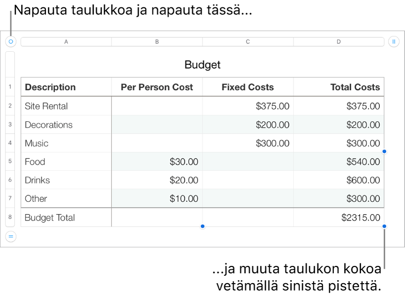 Valittuna taulukko, jossa on siniset pisteet koon muuttamiseen.