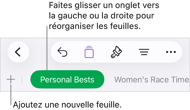 Barre des onglets pour ajouter une feuille, parcourir et réorganiser les feuilles.