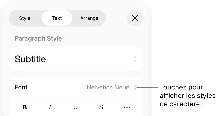 Les commandes de Format avec les styles de paragraphes en haut, puis les commandes de Police. Sous Police se trouvent les boutons Gras, Italique, Souligné, Barré et Plus d’options de texte.