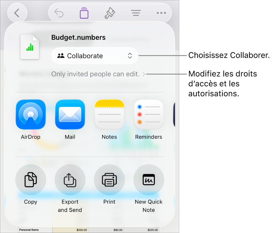 Le menu Partager avec l’option Collaborer sélectionnée dans le haut, au-dessus des réglages d’accès et d’autorisation.