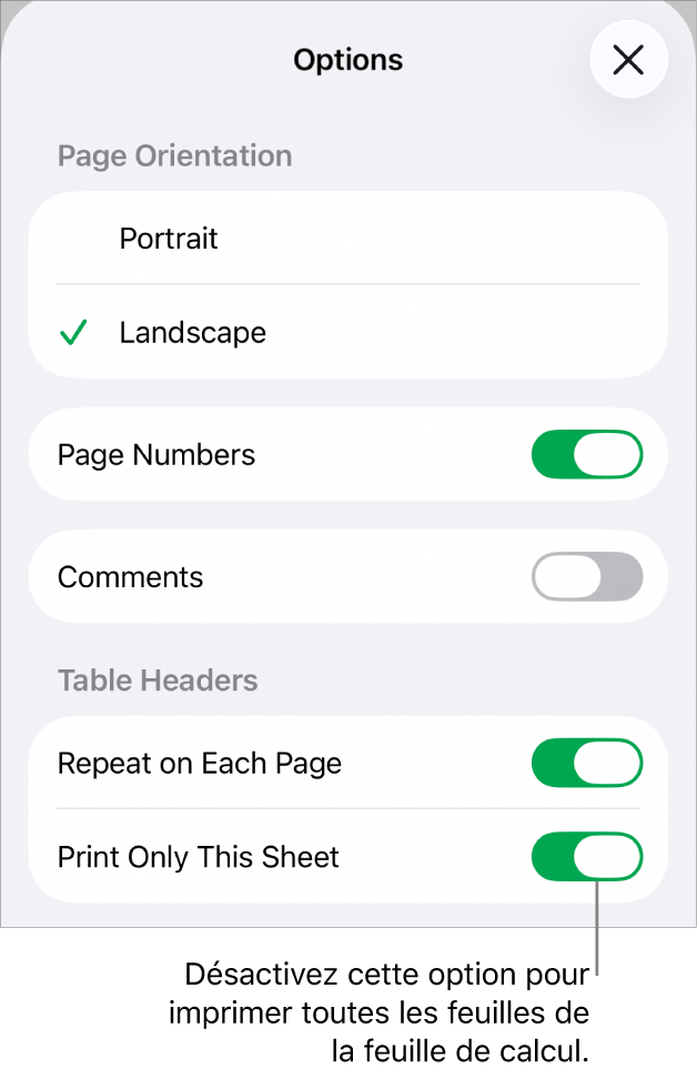 Options d’impression permettant de choisir l’orientation de la page, d’afficher les numéros de page et les en-têtes, et de choisir le format du papier et les pages à imprimer.