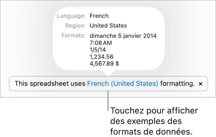 La notification du réglage de langue et de région différent affichant des exemples de la mise en forme correspondant à cette langue et à cette région.