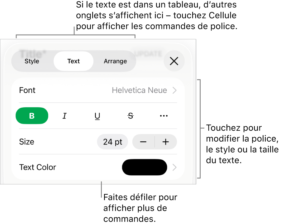 Commandes de texte du menu de format permettant de définir les styles, la police, la taille et la couleur des paragraphes et des caractères.