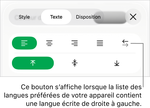 La section Style du menu Format avec une légende pour le bouton « De droite à gauche ».