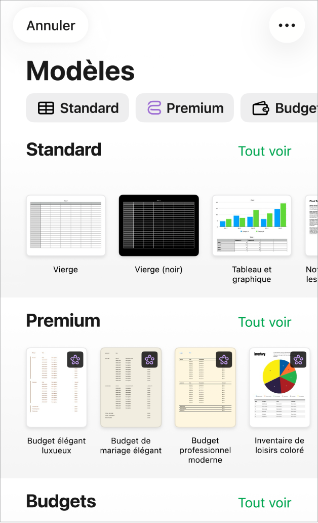 La liste de modèles, avec un rang de catégories en haut que vous pouvez toucher pour filtrer les options. En dessous, vous trouverez les vignettes des modèles prédéfinis disposées en rangs par catégorie.
