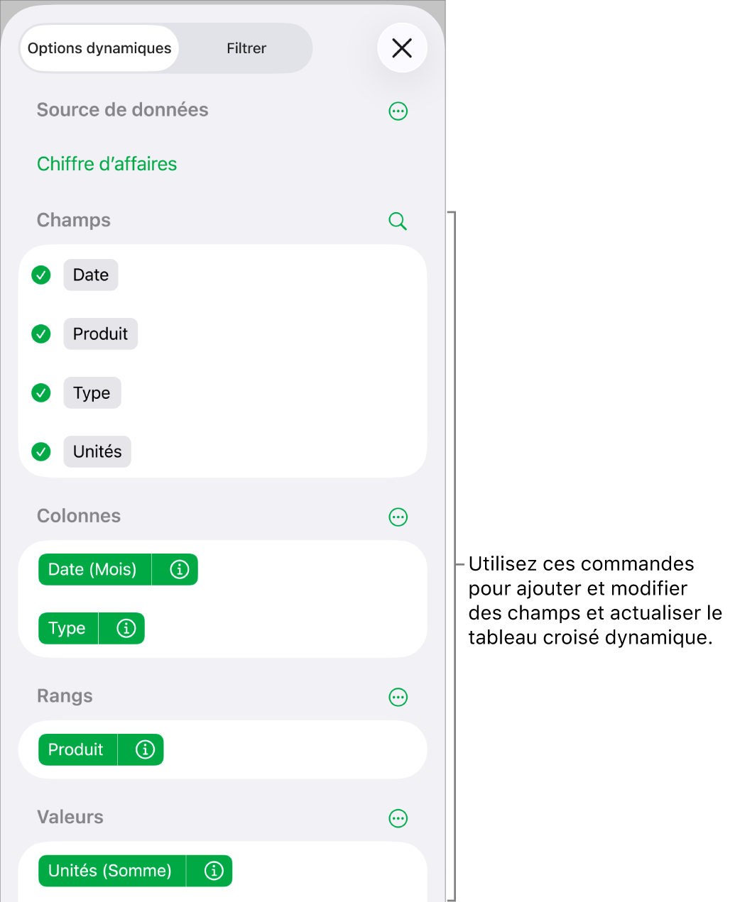 Le menu « Options dynamiques » affichant des champs dans les sections Colonnes, Rangs et Valeurs, ainsi que des commandes permettant de modifier les champs.