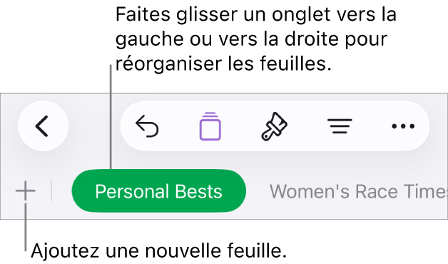 Barre des onglets pour ajouter une feuille, naviguer et réorganiser les feuilles.
