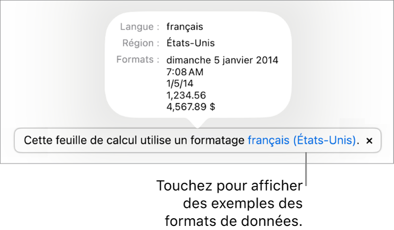 La notification du réglage de langue et de région différents, qui affiche des exemples de la mise en forme correspondant à cette langue et à cette région.
